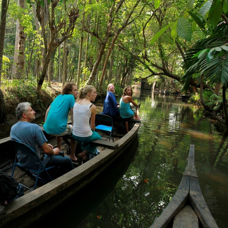 Why Choose a Heritage Resort in Kumarakom? A Guide to Paradise Resorts